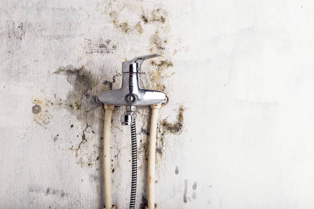 Best Mold Cleaning Services  in Methuen Town, MA
